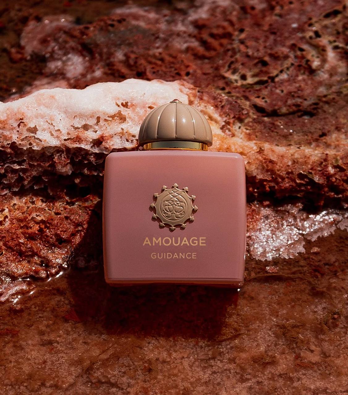 عطر (ادکلن) آمواج گایدنس 100 میل (ادکلن) | Amouage Guidance - Image 10